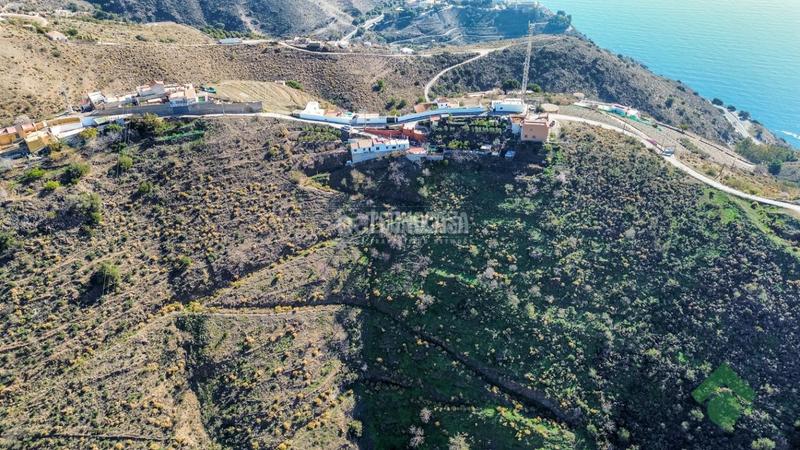 Foto 04f1a08c-cde4-4235-b088-b62fa04ffcf3. Masía casa rural en venta en Almuñecar centro Almuñécar