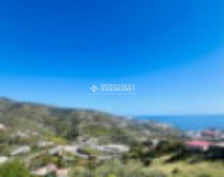 Foto bfb6895e-a549-4d8f-ae08-ef8e485fcdde. Landgut in Torrecuevas - Lomas del Gato Almuñécar