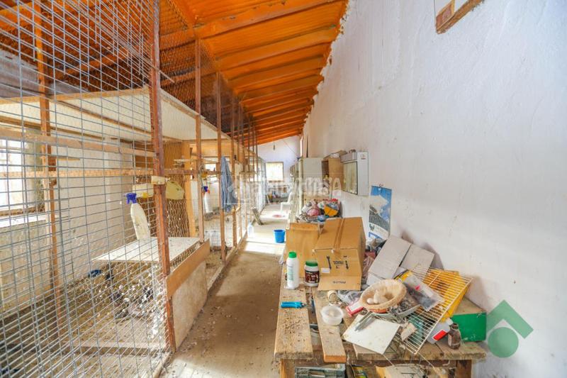 Foto 7d51fbac-9a04-4b5d-b7ad-700da920d58a. Masía casa rural en venta en Torrecuevas - Lomas del Gato Almuñécar