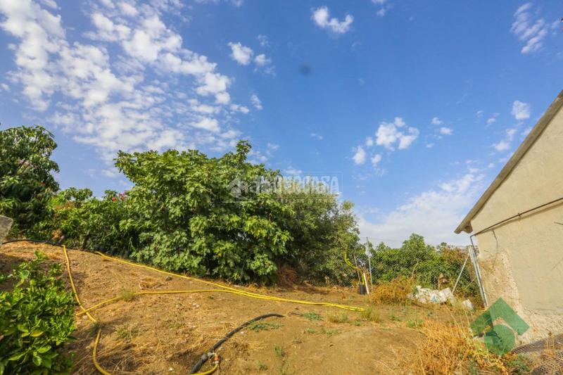 Foto e94b369f-3eaf-4185-bcd6-ab7bc53976cb. Masía casa rural en venta en Torrecuevas - Lomas del Gato Almuñécar