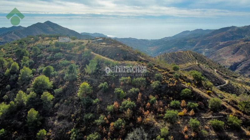 Foto 5833f328-2922-4524-9dd5-d0c49b2c779b. Finca rústica terrenos en venta en El Rescate - Río Seco Almuñécar