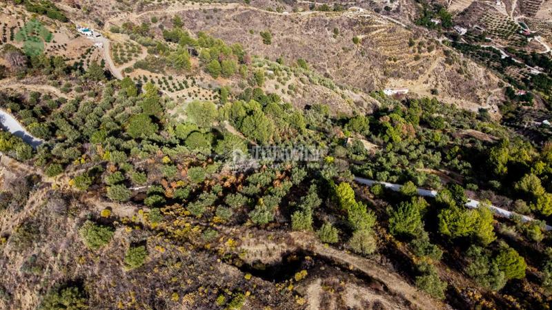 Foto 707f3166-cd95-4d33-813b-0fe011b52783. Finca rústica terrenos en venta en El Rescate - Río Seco Almuñécar