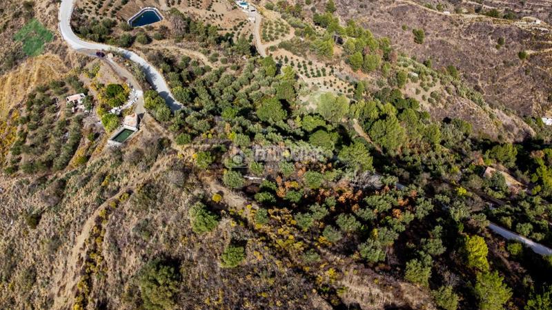 Foto 71b7d8ec-a26c-4905-b832-a10881666f8e. Finca rústica terrenos en venta en El Rescate - Río Seco Almuñécar