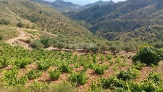 Rural plot in El Rescate - Río Seco. Terrenos en venta en almuñécar