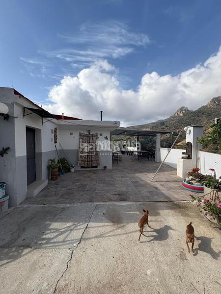 Foto 12a50b72-decd-479b-9d28-b8fe9e9a9876. Appartamento con piscina in El Rescate - Río Seco Almuñécar