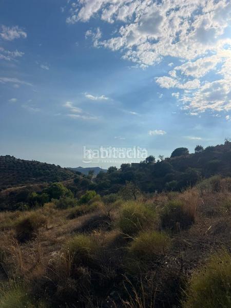 Foto 0c9eb6a5-a3dd-49f7-b881-1b9ae1a6f855. Propriété dans Velilla - Velilla Taramay Almuñécar