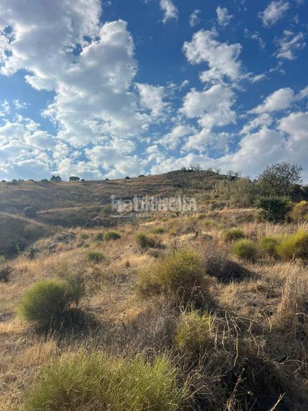 Foto 1ca6d4c0-45ac-4d76-bf7d-e8f834691d9b. Propriété dans Velilla - Velilla Taramay Almuñécar