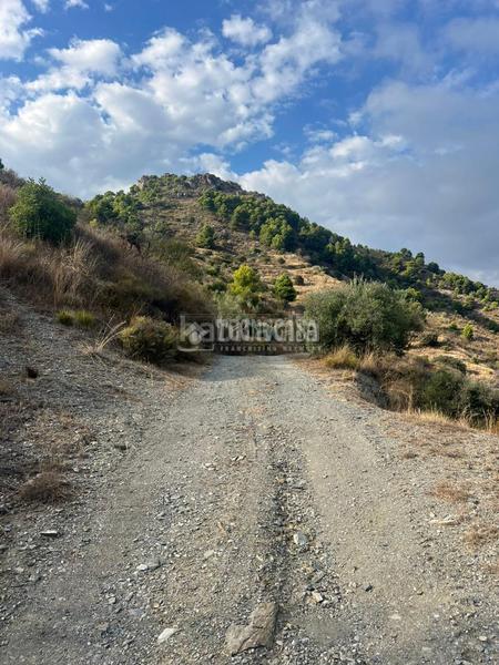 Foto 776cee41-7c96-4b52-8586-70143e7b14a1. Propriété dans Velilla - Velilla Taramay Almuñécar