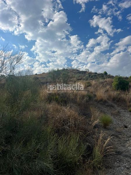 Foto ab9363ce-ef8b-4510-b4c4-5a6f3a3bd33d. Propriété dans Velilla - Velilla Taramay Almuñécar