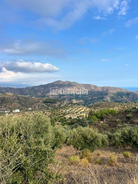 Foto d732061c-e9d6-4702-99cd-29d4a61a9970. Propriété dans Velilla - Velilla Taramay Almuñécar