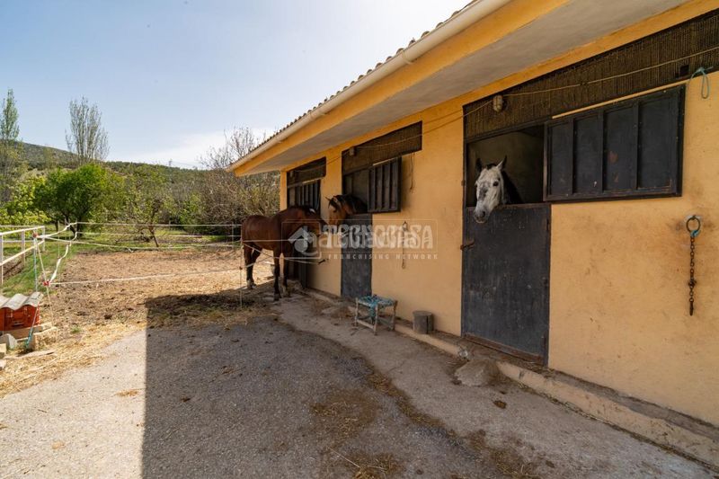 Foto a9f5e918-5d48-4c81-a5d3-b363de419cf5. Masia a Iznalloz
