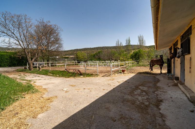 Foto b1aa0c25-ec2c-426c-aba6-7d586556c052. Masia a Iznalloz