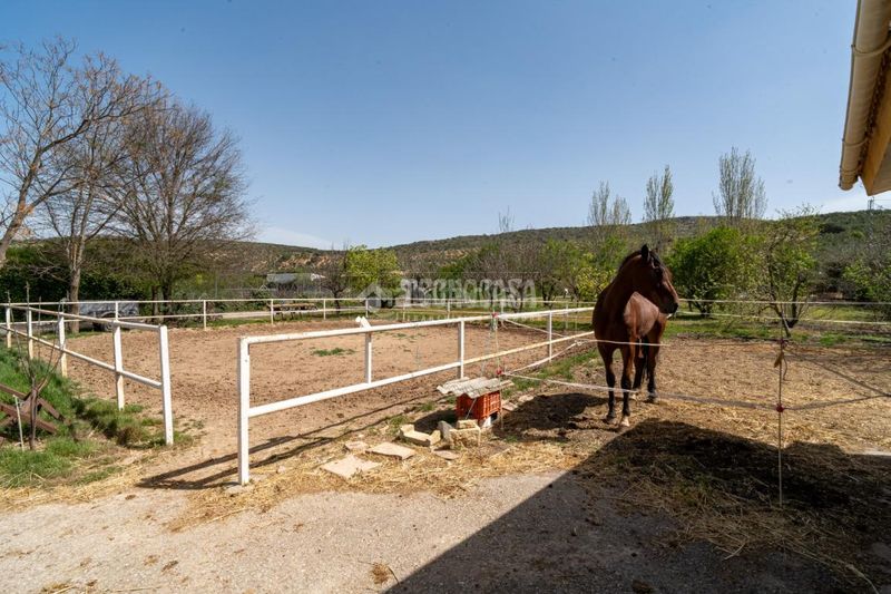 Foto ce78ee99-daba-4ee2-8a83-9471f0f1219b. Masia a Iznalloz
