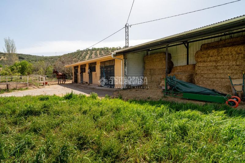 Foto d6d8b92d-0900-4e5d-8564-7aaf71ded1b4. Masia a Iznalloz