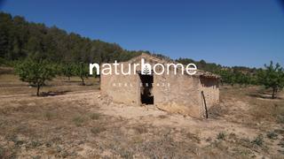 Finca rústica a Ginestar. Magnífica finca rústica con caseta y agua en ginestar