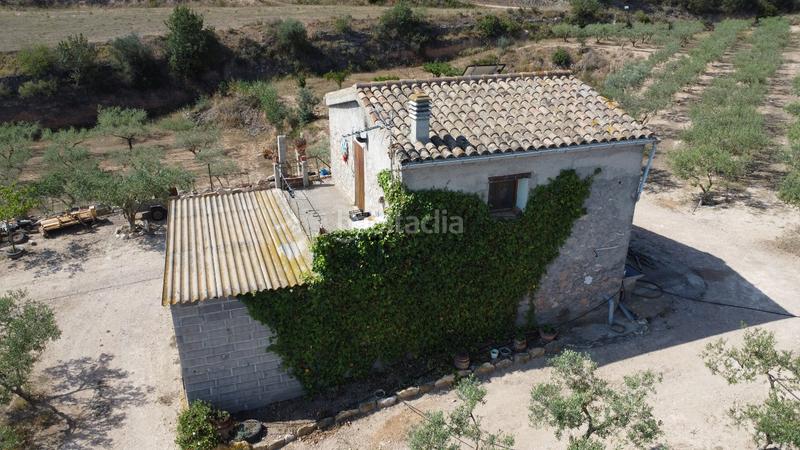 Foto 01145f03-bc6b-428a-a563-6103e8bc35f9. Bauernhof in Miravet