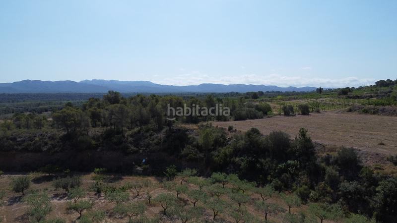 Foto 4411e1c5-8423-4348-8d4b-1e473fe0cdc3. Bauernhof in Miravet