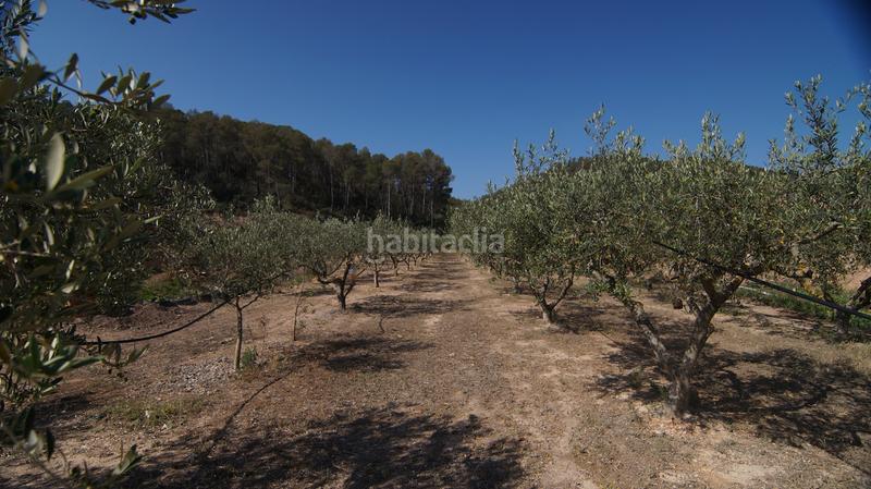 Foto 5480f3e6-dba0-4622-b7bd-c0a0e6ea0c95. Bauernhof in Miravet