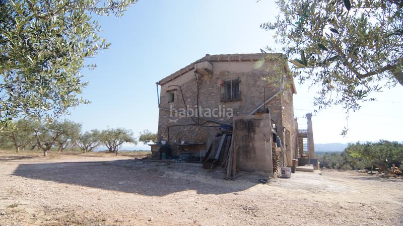 Foto 6248cc5a-89c3-4933-8a09-e5a8e5dc23fb. Bauernhof in Miravet