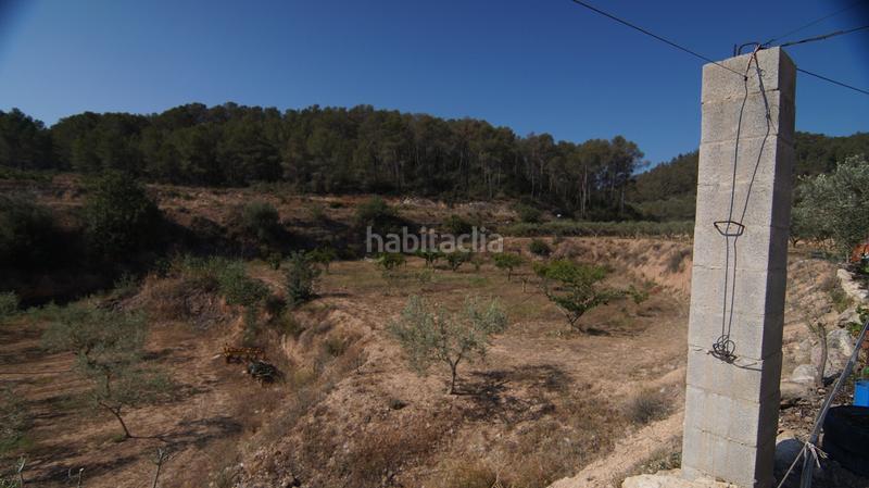 Foto 6830d213-4296-437f-a4e9-f6d176a242dc. Bauernhof in Miravet