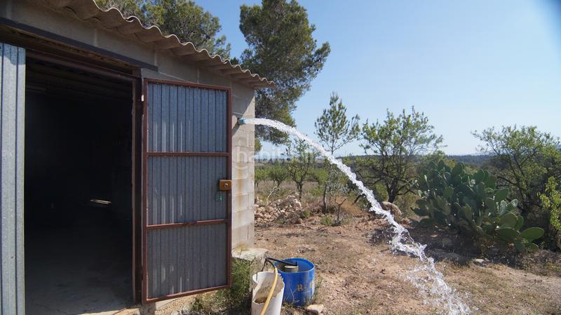 Foto 6934a068-2d8a-4489-bbbf-e99badc82a75. Bauernhof in Miravet