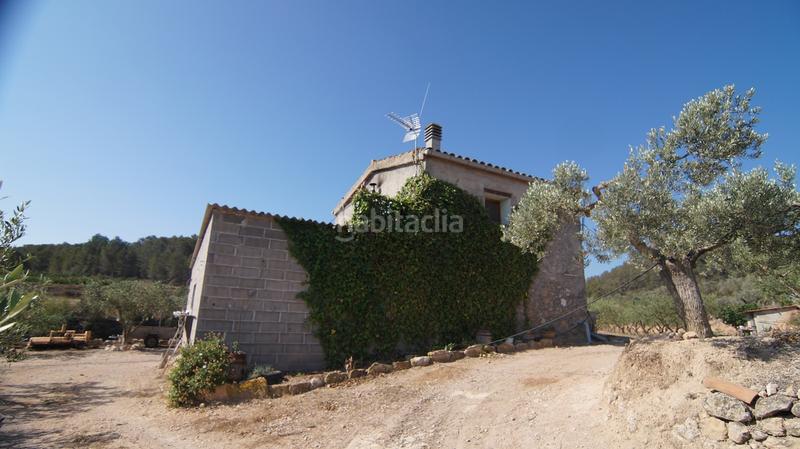 Foto 7238aaac-cda4-401e-b36e-9572b7d9205c. Bauernhof in Miravet