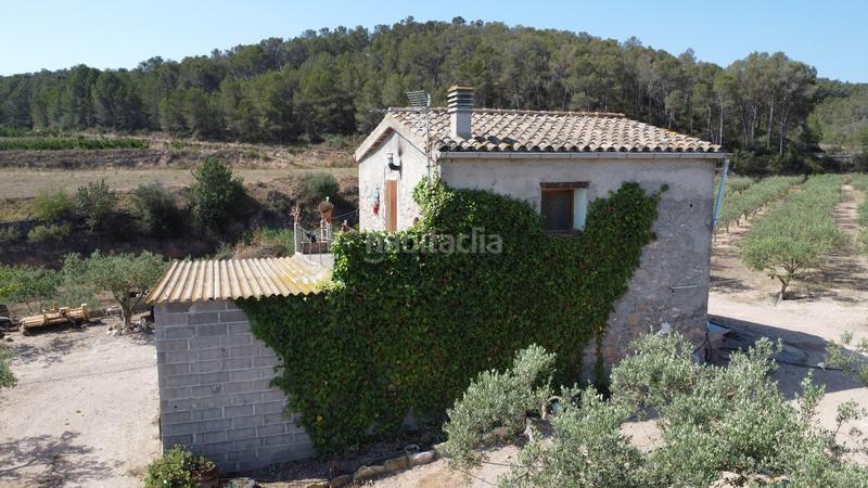 Foto 7410a57c-2c76-491d-90d9-3c45a0380c4b. Bauernhof in Miravet