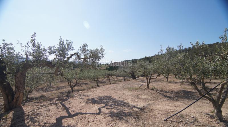 Foto 751d8d56-02b0-49ad-83dc-c53a3cf469bd. Bauernhof in Miravet