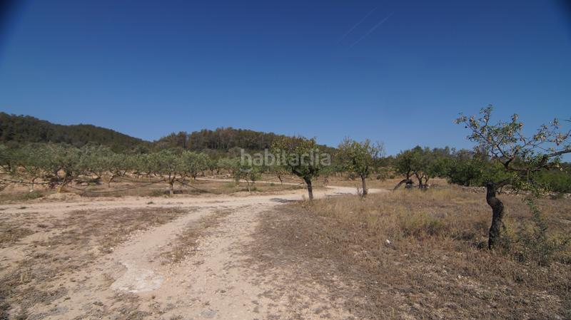 Foto 90de726b-4ba1-41e7-97d9-c2efb589d80d. Bauernhof in Miravet