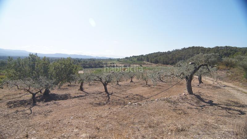 Foto 956b0917-9f91-4a1c-95a1-49cecc000de5. Bauernhof in Miravet