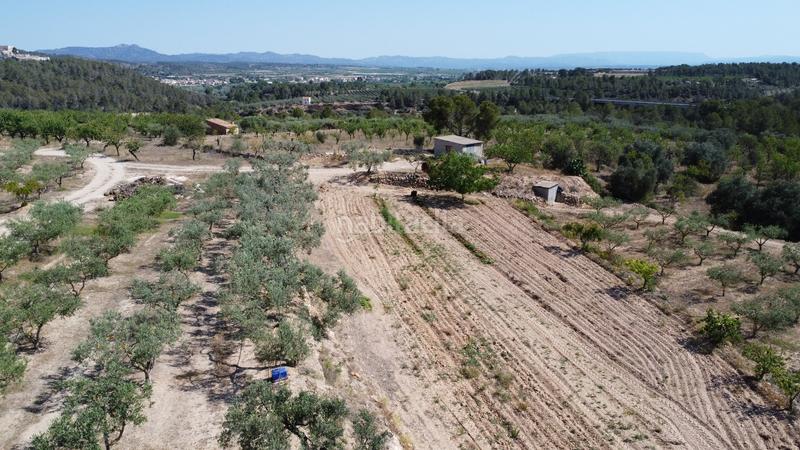 Foto a99d51ac-5147-4f65-a144-c65f03c9fb07. Bauernhof in Miravet