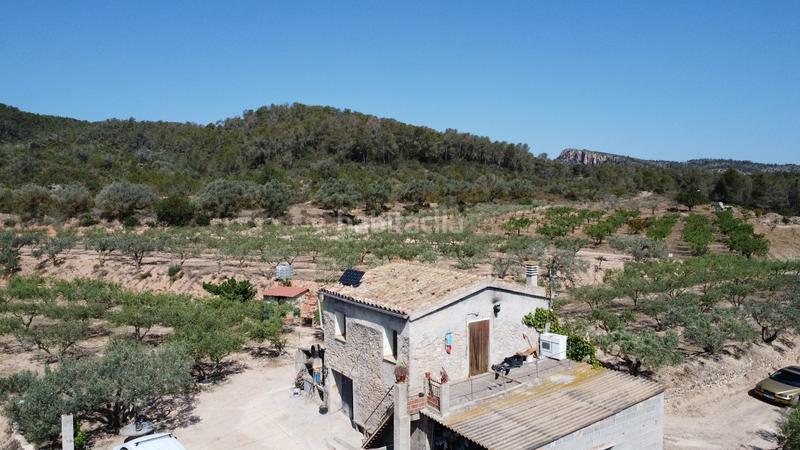 Foto b92b9db8-abbe-4573-8067-10d5aab8e4d6. Bauernhof in Miravet