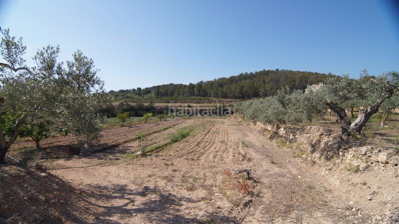 Foto badf7cc8-46d8-4dc4-899a-cbc7ad4eb6ce. Bauernhof in Miravet