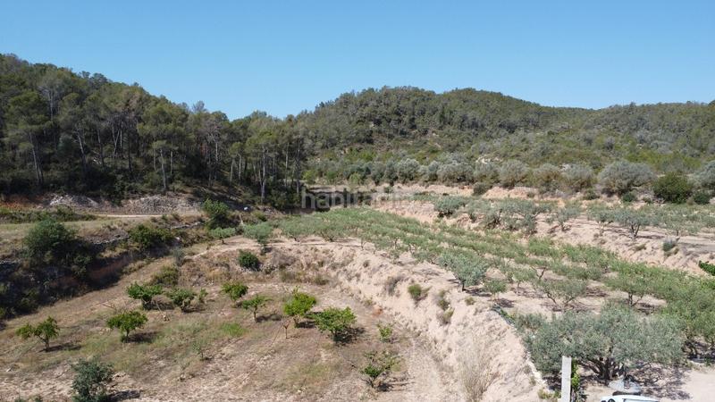 Foto c3adda96-c699-4064-bcf1-84a0629572f1. Bauernhof in Miravet