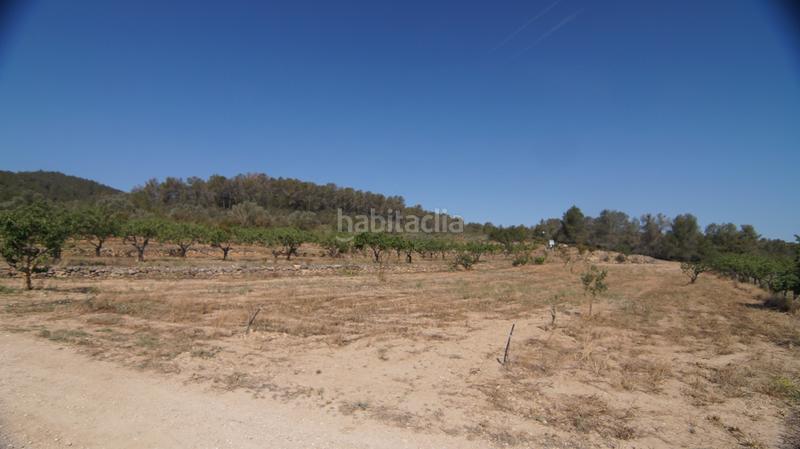 Foto d22619d1-215e-43ac-a10e-6066c0b1988d. Bauernhof in Miravet