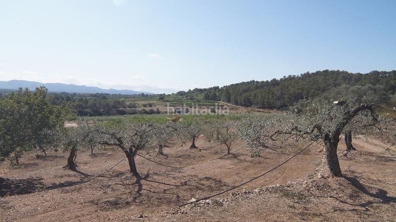 Foto e54f27c5-b7de-4e59-9714-667f5f007361. Bauernhof in Miravet