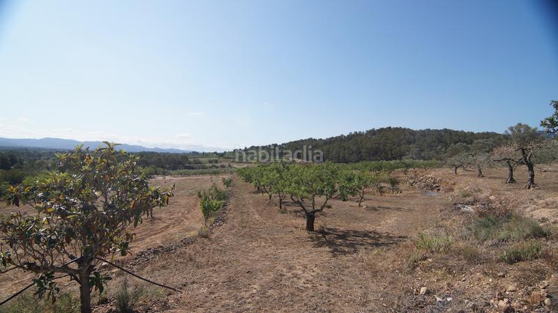 Foto e79d7371-49d4-4c24-81b4-43a7d8a19d0b. Bauernhof in Miravet