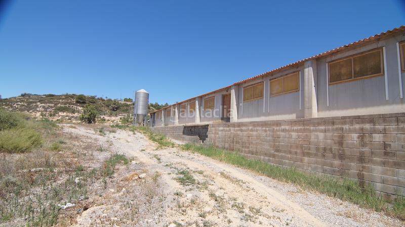 Foto 2b6f5b4f-efa7-4515-9e2a-c4db1b08a30d. Bâtiment à usage industriel dans carrer calvari 43 dans Omellons (Els)