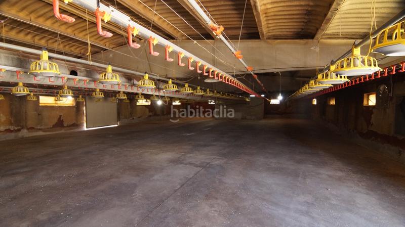 Foto 5867f0ef-decb-4406-a8b6-5042e9e04932. Bâtiment à usage industriel dans carrer calvari 43 dans Omellons (Els)