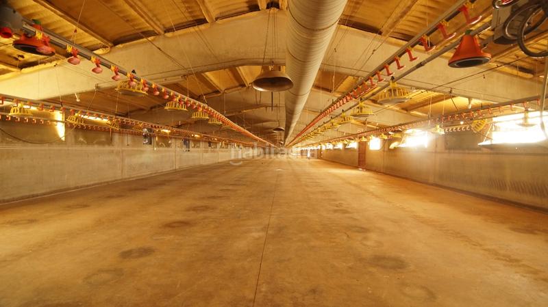 Foto 5ac65818-09f2-4c8a-88f8-82acb4f39d76. Bâtiment à usage industriel dans carrer calvari 43 dans Omellons (Els)