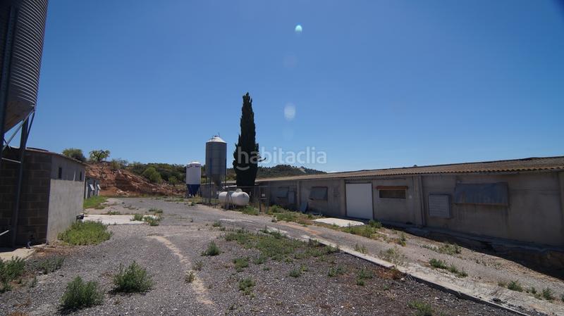 Foto 827b4e13-93b8-4d2e-99c0-9c374ecd2ffa. Bâtiment à usage industriel dans carrer calvari 43 dans Omellons (Els)