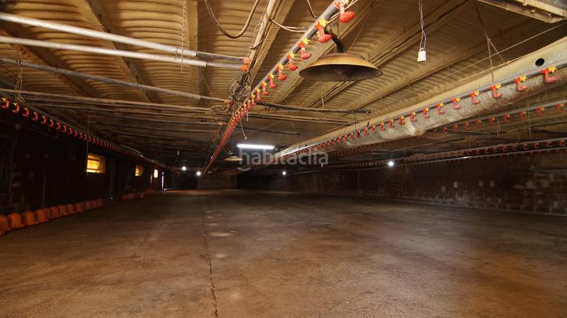 Foto 866bccf1-7196-4624-b7c6-9391bdab9e78. Bâtiment à usage industriel dans carrer calvari 43 dans Omellons (Els)