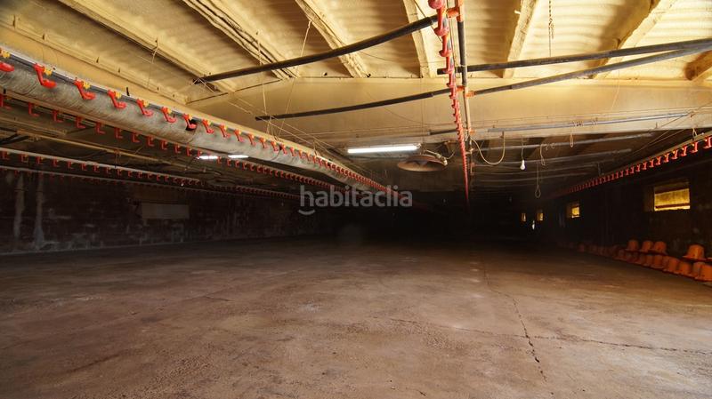 Foto 9347f37f-5c8c-44c8-81fc-4bec22d638c1. Bâtiment à usage industriel dans carrer calvari 43 dans Omellons (Els)