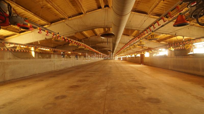 Foto a2fdfe5c-6f61-44a2-bc96-2bbdec17d2f4. Bâtiment à usage industriel dans carrer calvari 43 dans Omellons (Els)