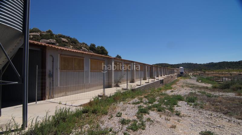 Foto a6398d67-48be-4953-b4cf-aeb7a7a003bf. Bâtiment à usage industriel dans carrer calvari 43 dans Omellons (Els)