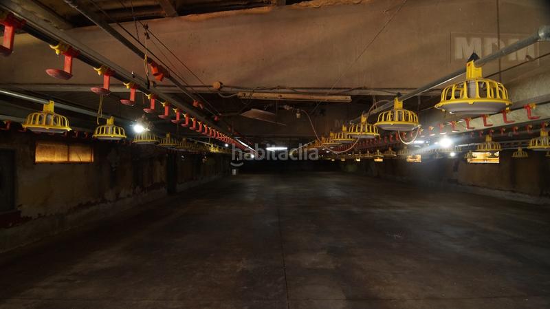 Foto a694e3bd-cf92-4a30-a711-8ba585b1758c. Bâtiment à usage industriel dans carrer calvari 43 dans Omellons (Els)