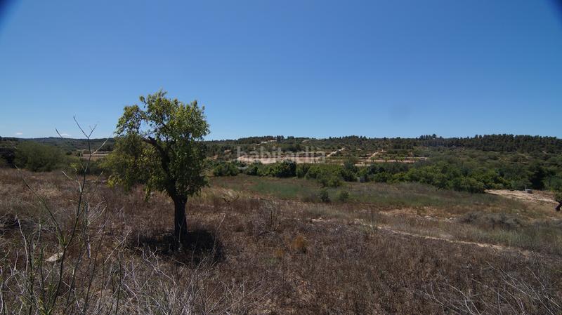 Foto d39f767a-5b96-442b-8cfa-214dfe2cc253. Bâtiment à usage industriel dans carrer calvari 43 dans Omellons (Els)