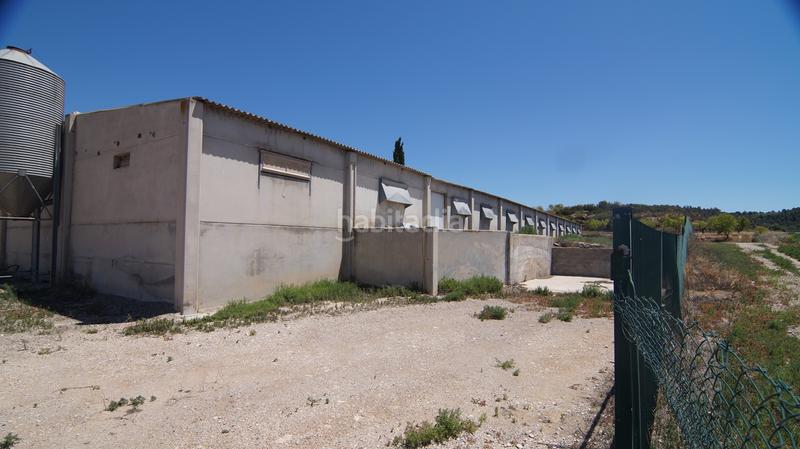 Foto dfbc44ea-ae15-477c-9f6b-6c7f8675eff1. Bâtiment à usage industriel dans carrer calvari 43 dans Omellons (Els)