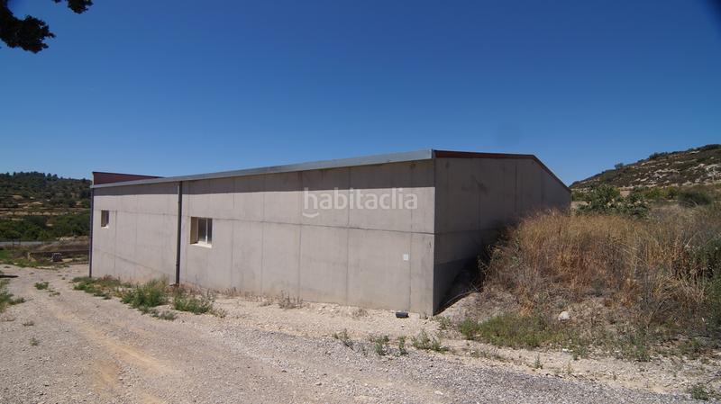 Foto fa2a907a-6b45-4516-bbff-1b236cbd6149. Bâtiment à usage industriel dans carrer calvari 43 dans Omellons (Els)