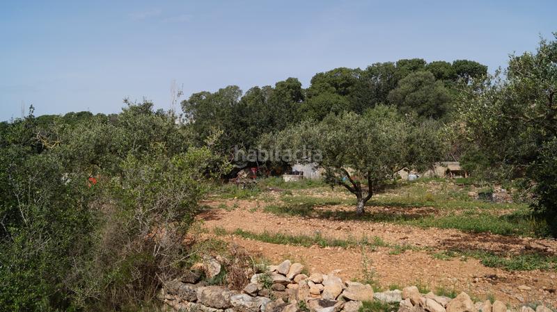 Foto 1dbc5638-0693-490f-bb67-ec40b37d678a. Finca rústica a autopista del mediterráneo 232 a Torredembarra